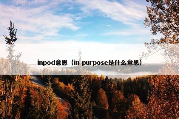 inpod意思（in purpose是什么意思）
