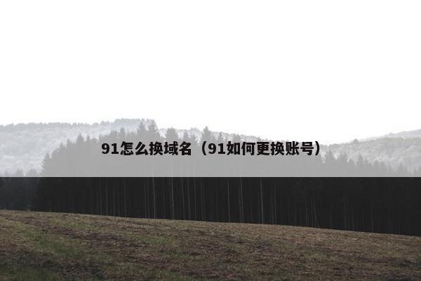 91怎么换域名（91如何更换账号）