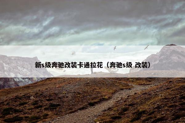 新s级奔驰改装卡通拉花（奔驰s级 改装）