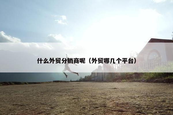什么外贸分销商呢（外贸哪几个平台）
