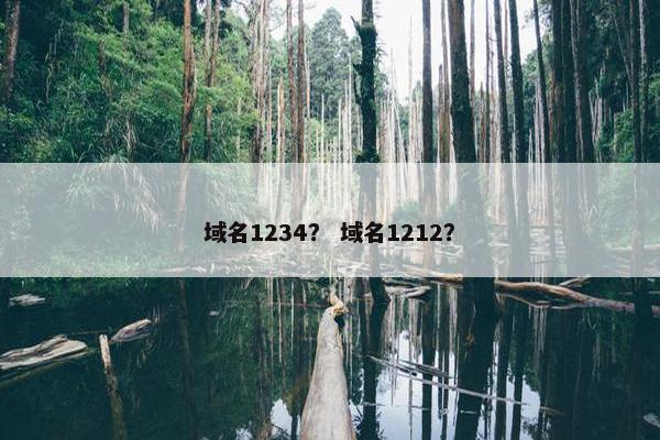 域名1234？ 域名1212？