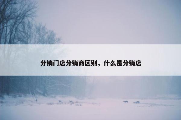 分销门店分销商区别，什么是分销店