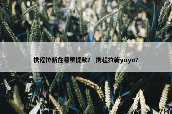 携程拉新在哪里提款？ 携程拉新yoyo？