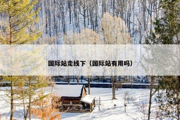 国际站走线下（国际站有用吗）