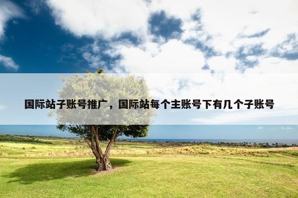 国际站子账号推广，国际站每个主账号下有几个子账号