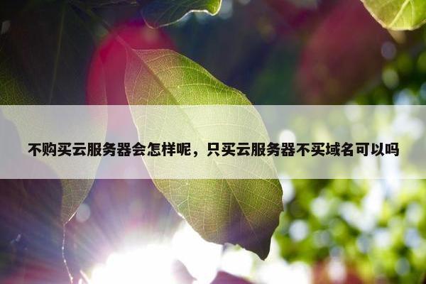 不购买云服务器会怎样呢，只买云服务器不买域名可以吗