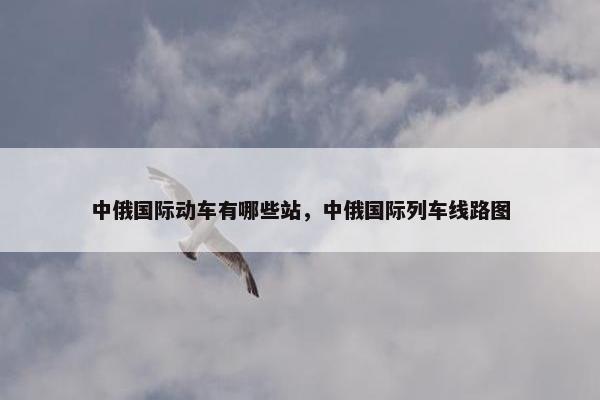 中俄国际动车有哪些站，中俄国际列车线路图