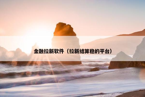 金融拉新软件（拉新结算稳的平台）
