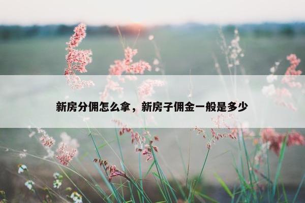 新房分佣怎么拿，新房子佣金一般是多少