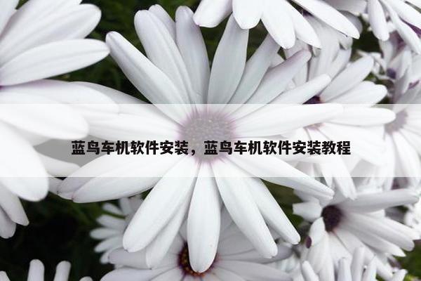 蓝鸟车机软件安装，蓝鸟车机软件安装教程
