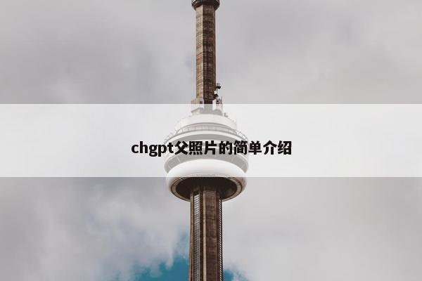 chgpt父照片的简单介绍