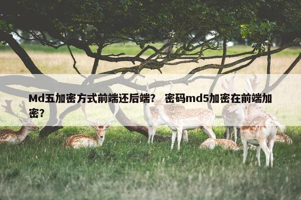 Md五加密方式前端还后端？ 密码md5加密在前端加密？