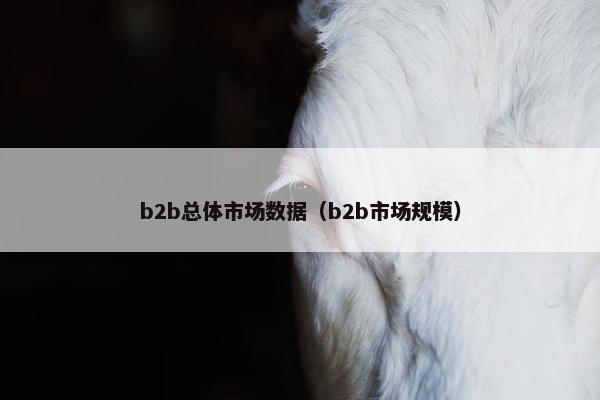 b2b总体市场数据（b2b市场规模）