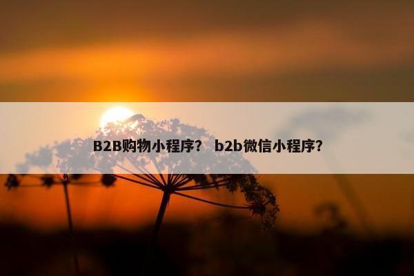 B2B购物小程序？ b2b微信小程序？
