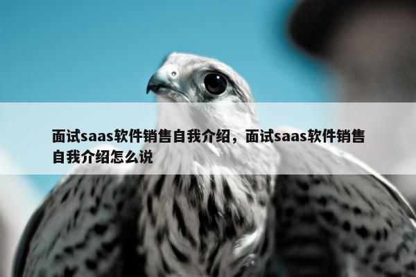 面试saas软件销售自我介绍，面试saas软件销售自我介绍怎么说