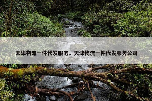 天津物流一件代发服务，天津物流一件代发服务公司