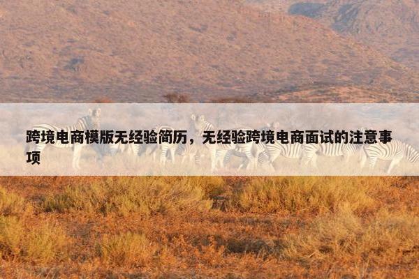 跨境电商模版无经验简历，无经验跨境电商面试的注意事项