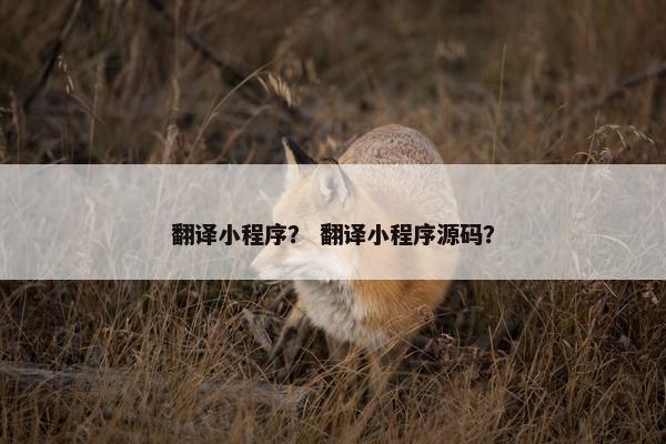 翻译小程序？ 翻译小程序源码？
