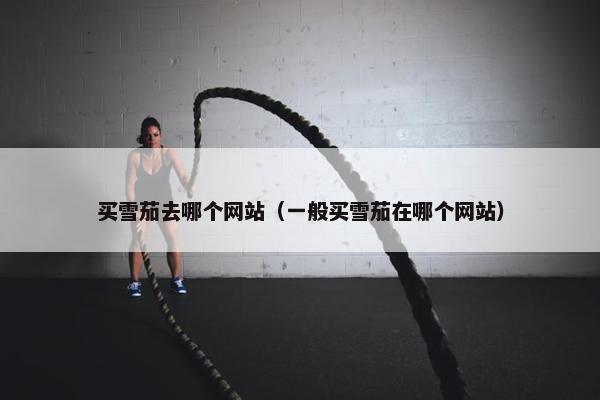 买雪茄去哪个网站（一般买雪茄在哪个网站）
