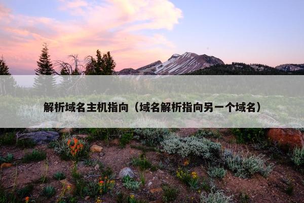 解析域名主机指向（域名解析指向另一个域名）