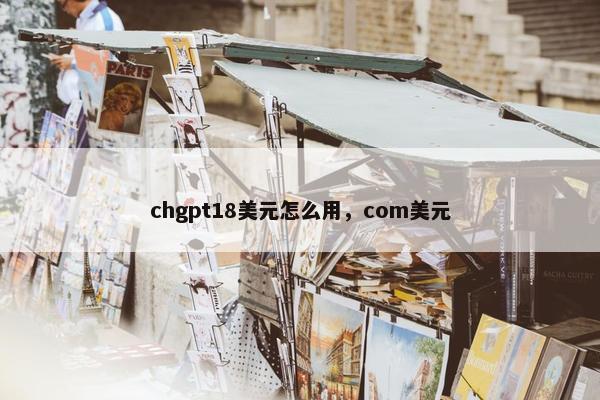 chgpt18美元怎么用，com美元