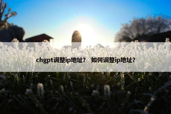 chgpt调整ip地址？ 如何调整ip地址？