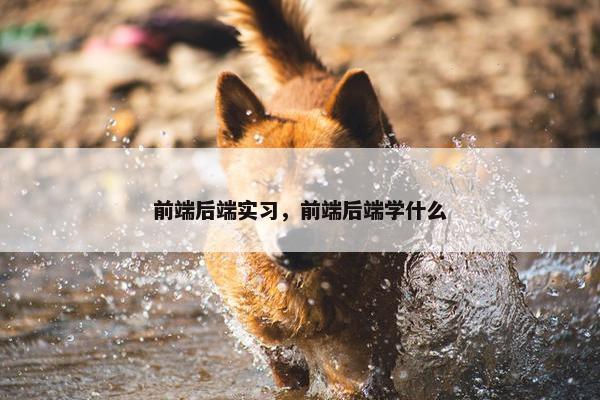 前端后端实习，前端后端学什么