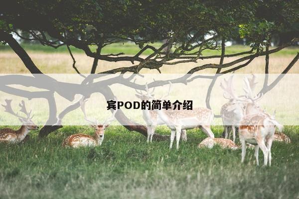 宾POD的简单介绍