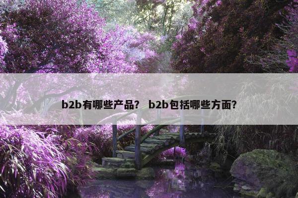 b2b有哪些产品？ b2b包括哪些方面？