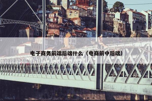 电子商务前端后端什么（电商前中后端）