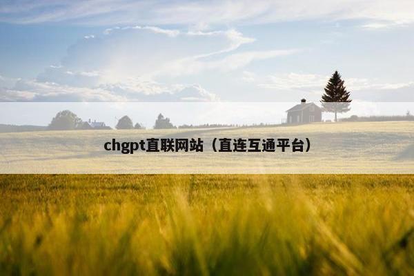 chgpt直联网站（直连互通平台）