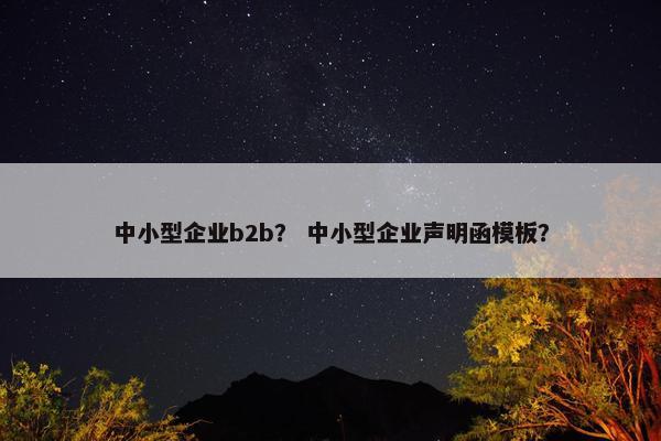 中小型企业b2b？ 中小型企业声明函模板？