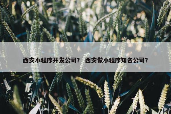 西安小程序开发公司？ 西安做小程序知名公司？