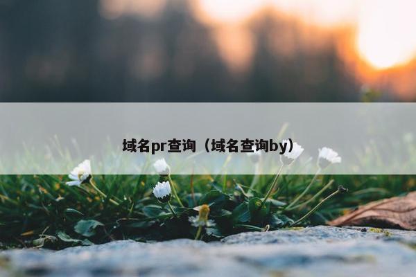 域名pr查询（域名查询by）
