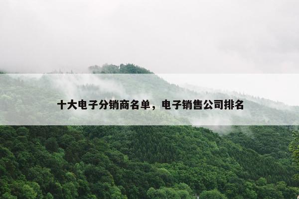 十大电子分销商名单，电子销售公司排名