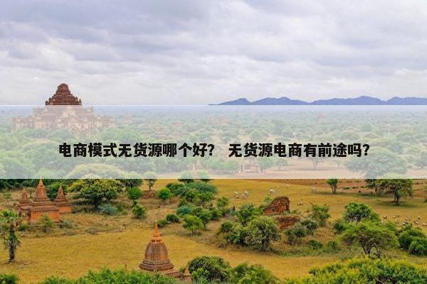 电商模式无货源哪个好？ 无货源电商有前途吗？