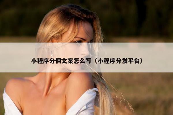 小程序分佣文案怎么写（小程序分发平台）