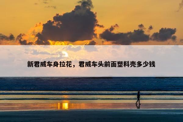 新君威车身拉花，君威车头前面塑料壳多少钱