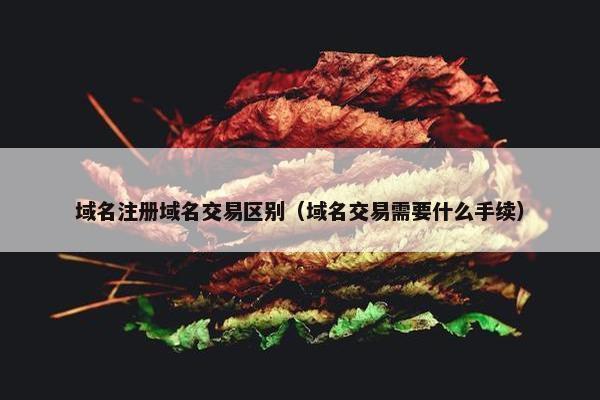 域名注册域名交易区别（域名交易需要什么手续）