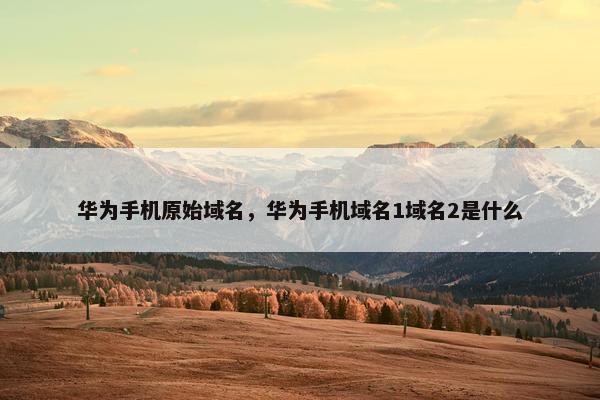 华为手机原始域名，华为手机域名1域名2是什么