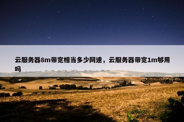 云服务器8m带宽相当多少网速，云服务器带宽1m够用吗