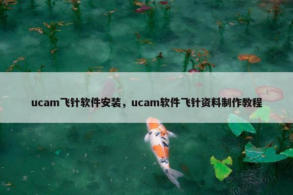 ucam飞针软件安装，ucam软件飞针资料制作教程
