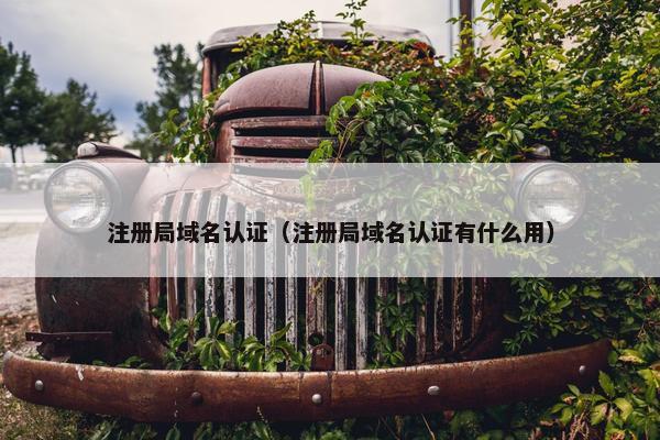 注册局域名认证（注册局域名认证有什么用）