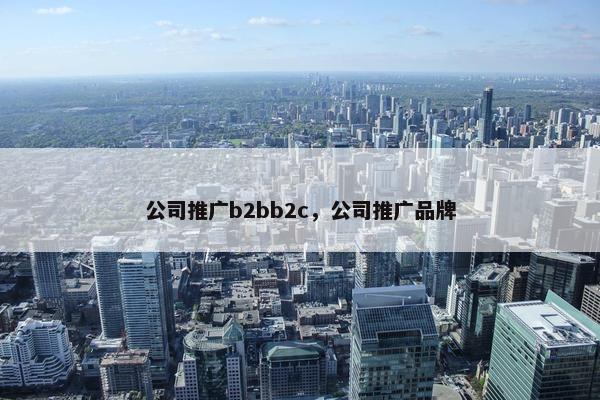 公司推广b2bb2c，公司推广品牌