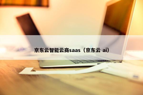 京东云智能云商saas（京东云 ai）