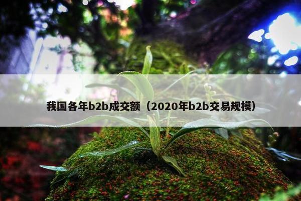 我国各年b2b成交额（2020年b2b交易规模）