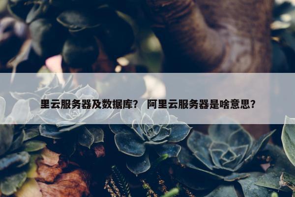 里云服务器及数据库？ 阿里云服务器是啥意思？