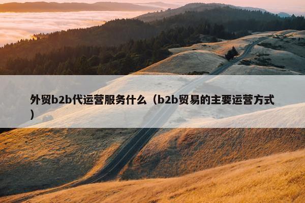 外贸b2b代运营服务什么（b2b贸易的主要运营方式）