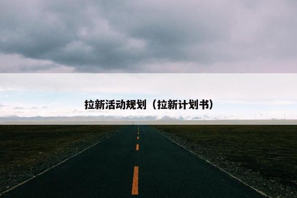 拉新活动规划（拉新计划书）