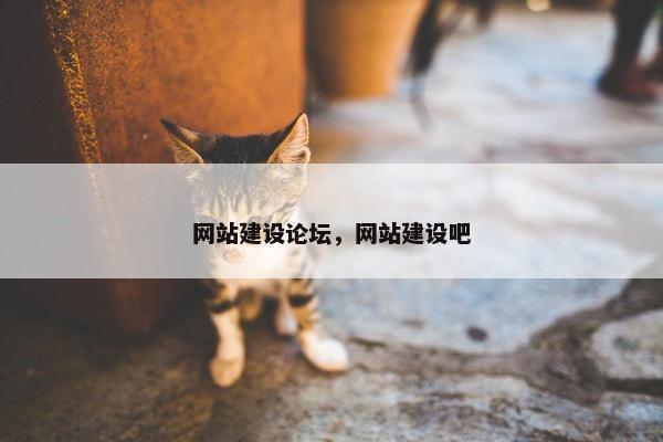 网站建设论坛，网站建设吧